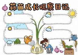 蒜苗成长观察日记手抄报简单又漂亮，适合三四年级科学小报模板