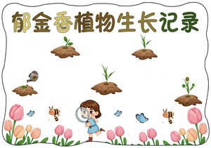 郁金香植物生长记录小报模板，自然小报手抄报简单又漂亮，适合3-6年级