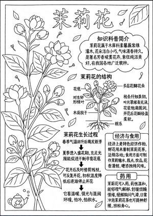 可打印线稿