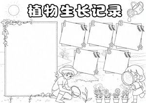 可打印线稿
