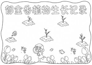 可打印线稿